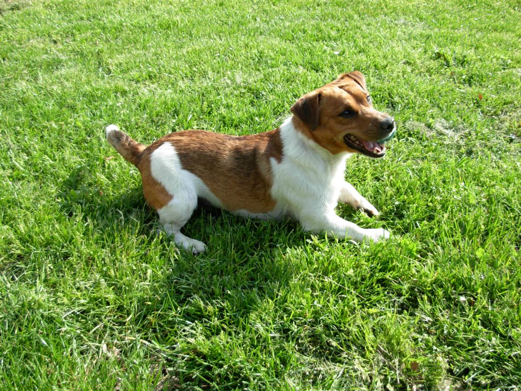 Max